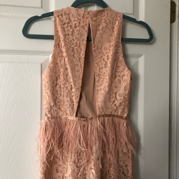 Blush Lulus dress - Picture 3 of 5